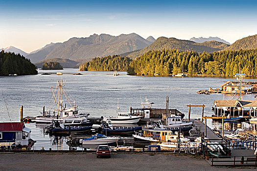 码头,山峦,温哥华岛,不列颠哥伦比亚省,加拿大