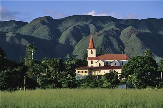新加勒多尼亚,圣路易斯,教堂,绿色,风景