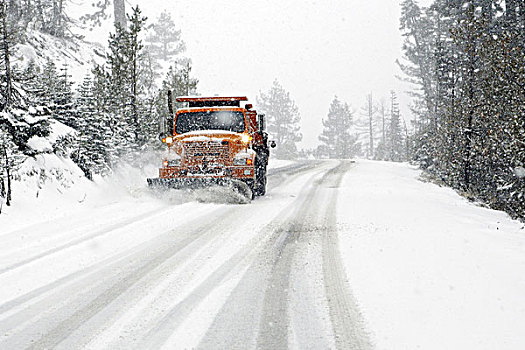 扫雪机,清洁,积雪,道路