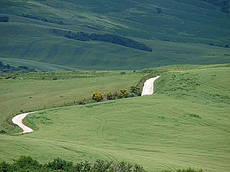 风景