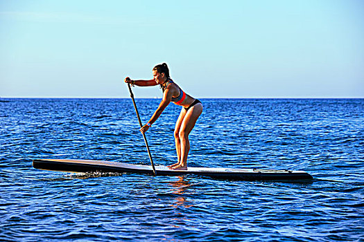 站立,冲浪,女孩,船桨,蓝色,海洋