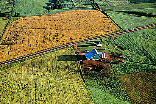 俯视,农场,爱德华王子岛,加拿大