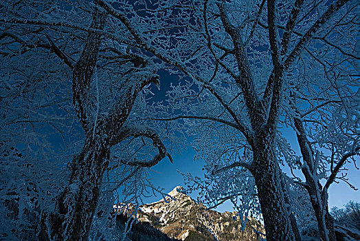 冬季风景,积雪,国家公园,施蒂里亚,奥地利