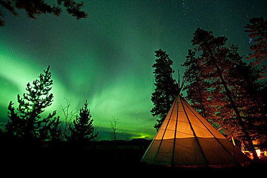 光亮,圆锥形帐篷,北极光,极地,绿色,靠近,育空地区,加拿大