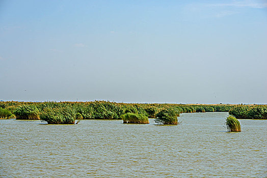 宁夏银川沙湖景观