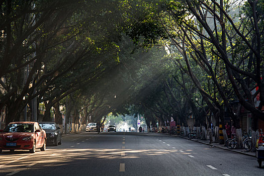 早晨的成都街道