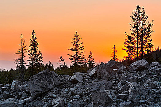 日落,上方,混乱,矮小,树林,拉森火山国家公园,加利福尼亚,美国