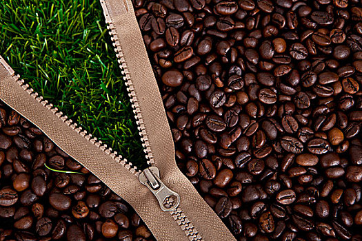 咖啡豆,草地