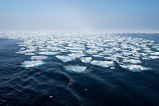 挪威,巴伦支海,海洋,斯瓦尔巴特群岛,冰流,自然保护区