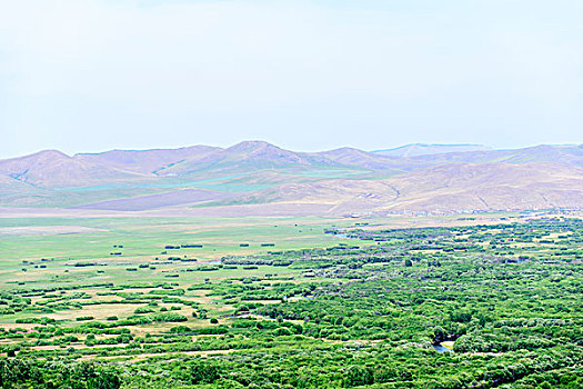 额尔古纳根河湿地