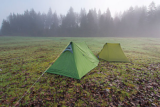 两个,帐篷,黑森林,巴登符腾堡,德国,欧洲