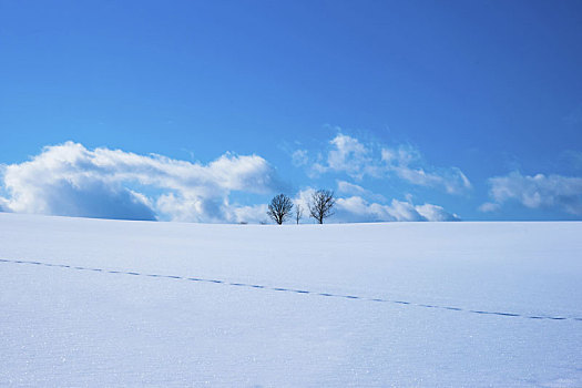 雪