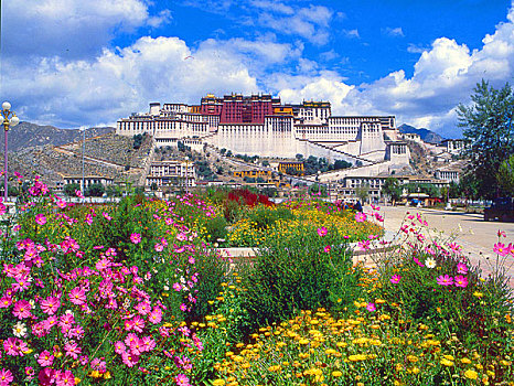 布达拉宫,宫殿,拉萨,城市,西藏
