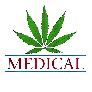 大麻,麻,药用,法律,植物