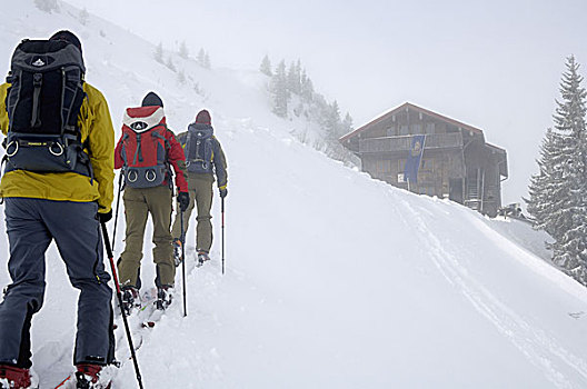 滑雪,旅游,山,阿尔卑斯山,巴伐利亚,德国