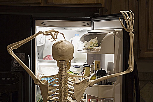 骨骼,看,室内,冰箱