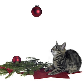 猫,圣诞装饰