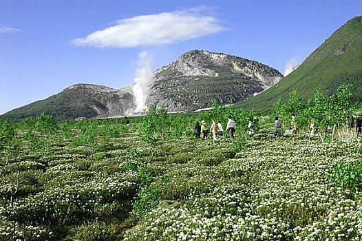 人,走,花,地点