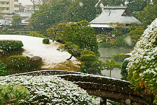 雪,秋天,花园,熊本,日本