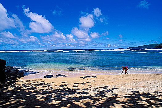 女孩,收集,壳,海滩,湾,背景,北岸,考艾岛,夏威夷