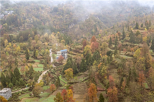 重庆酉阳,初冬景色,三