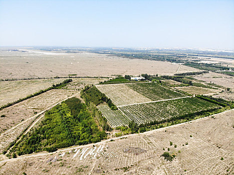 航拍宁夏银川西夏王陵三号帝王陵园,泰陵