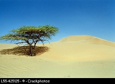 撒哈拉沙漠,毛里塔尼亚