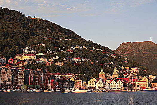 挪威,卑尔根,天际线,全视图,港口,全景