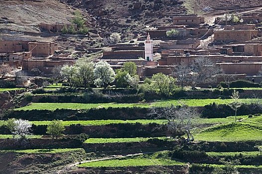 乡村,阿特拉斯山脉,摩洛哥