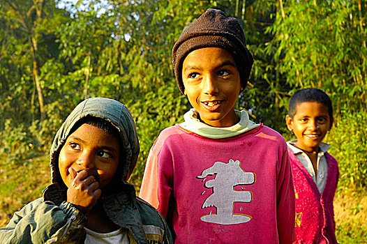 头像,微笑,孩子,孟加拉,十二月,2005年