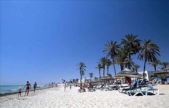 海滩,绿洲,突尼斯,非洲