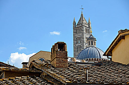 意大利,托斯卡纳,锡耶纳,中央教堂,大教堂,红色,砖瓦,屋顶