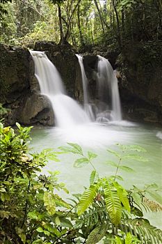 瀑布,保和省,中心,米沙鄢,区域,菲律宾