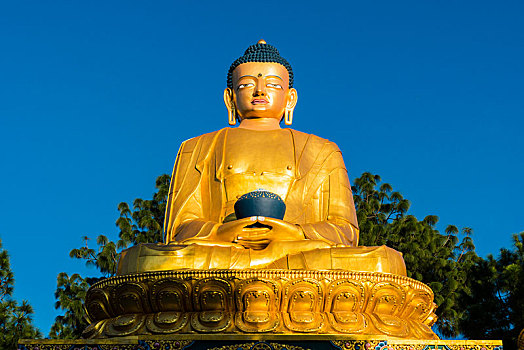 大,金色,雕塑,佛,背影,四眼天神庙,加德满都,尼泊尔,亚洲