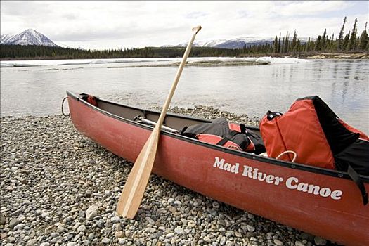 独木舟,木质,划船,岸边,河,冰,育空地区,加拿大