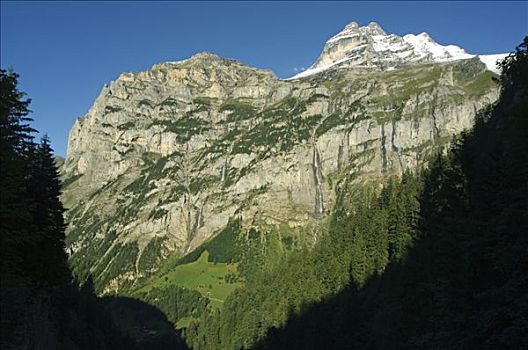 少女峰,顶峰,高处,因特拉肯,山谷,瑞士