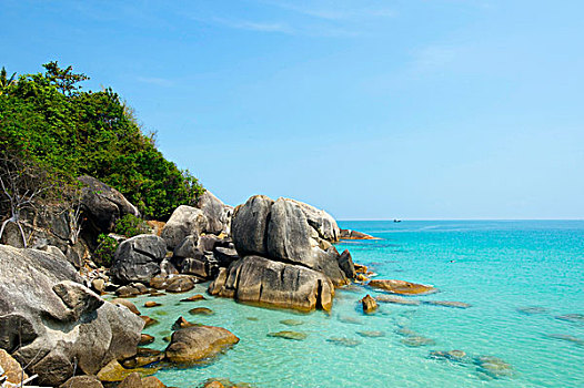 岩石,海岸,珊瑚,小湾,苏梅岛,岛屿,泰国,亚洲
