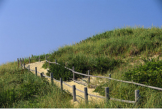 头部,科德角,国家海岸