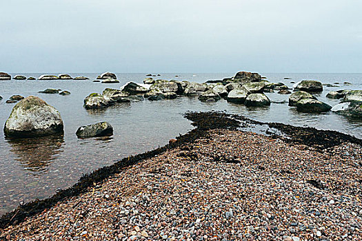 石头,海岸,波罗的海,冬季