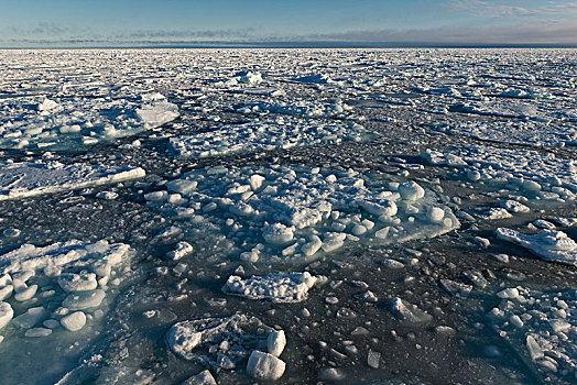 浮冰,北冰洋,斯匹次卑尔根岛,岛屿,斯瓦尔巴群岛,斯瓦尔巴特群岛,挪威,欧洲
