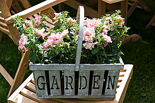 花,篮子,文字,书写,花园椅