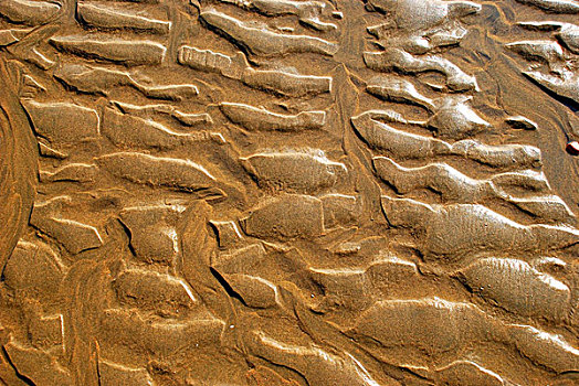 海水冲刷海滩后留下的纹路