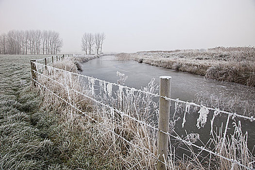 英格兰,诺福克,冰冻,铁丝栅栏,旁侧,河