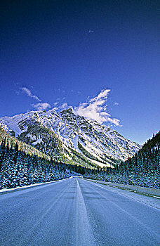 泛加高速公路,攀升,冰川国家公园,不列颠哥伦比亚省,加拿大
