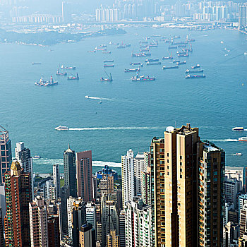 香港,城市,维多利亚港,大量,高层建筑