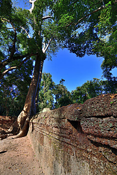 柬埔寨吴哥王城塔普伦寺神庙