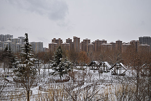 河北省石家庄市公园雪景