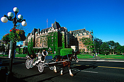 马车,正面,皇后酒店,维多利亚,温哥华岛,不列颠哥伦比亚省,加拿大
