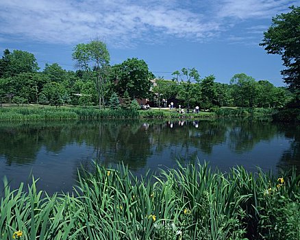 树林,实验室,北海道,大学