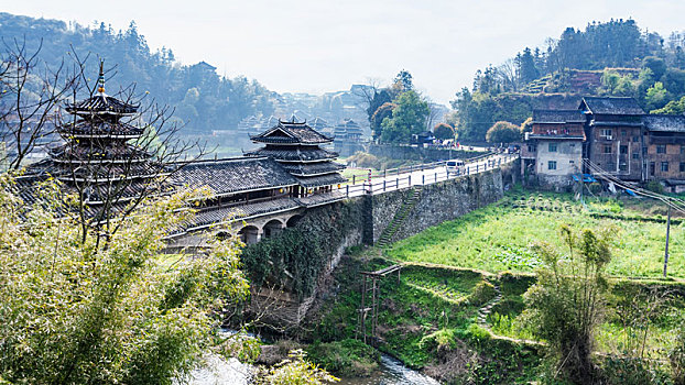 风景,桥,花园